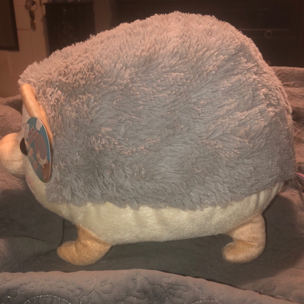 Hedgehog - Picture 2 of 2